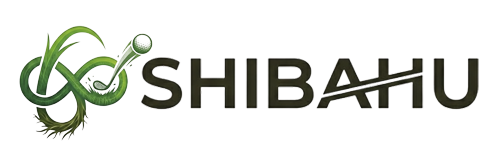 株式会社SHIBAHU.Lab