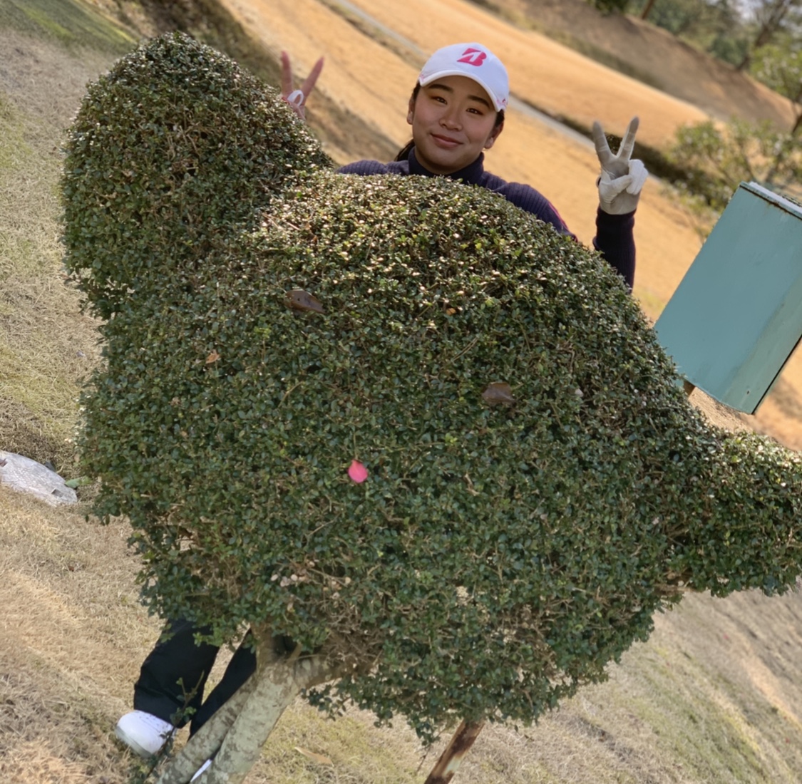 竹ノ内南